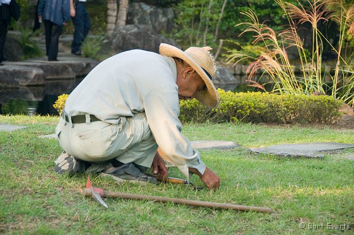 DSC_4882.jpg - removing every single abberation