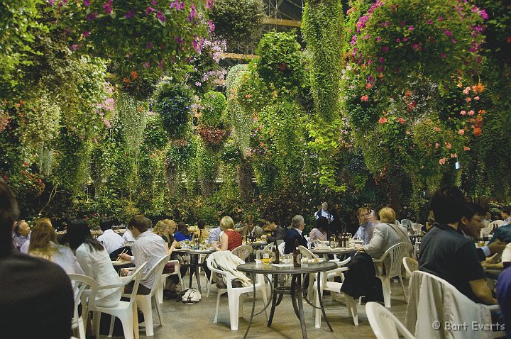 DSC_4900.jpg - Dinner in a glasshouse