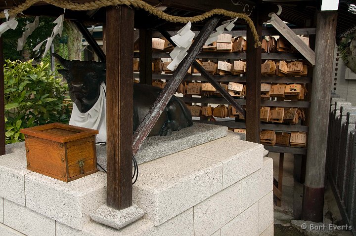 DSC_4984.jpg - Sacred cow and wooden prayer plaques at the back