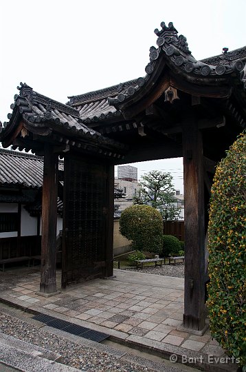 DSC_5074.jpg - The Sanjusangen-do containing hundreds of statues of Kannon, The Buddhist goddess of mercy