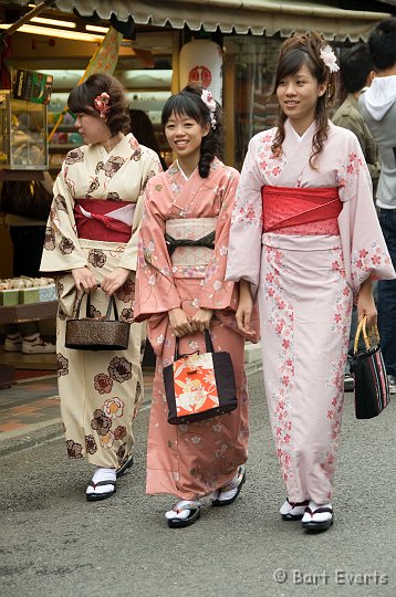 DSC_5102.jpg - Apprentice Geisha's