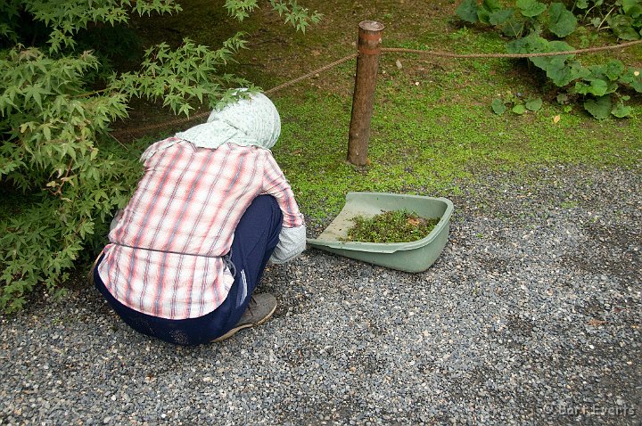 DSC_5155.jpg - Again: keeping the gardens in perfect state is essential