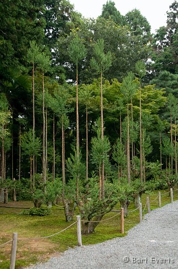 DSC_5170.jpg - Gardens of Ryoan-ji