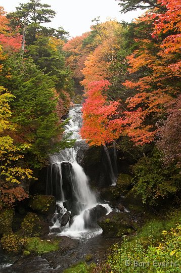 DSC_5198.jpg - Beautiful colors