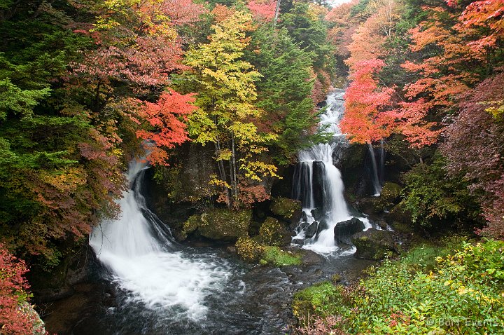 DSC_5199.jpg - Lovely Autumn colors