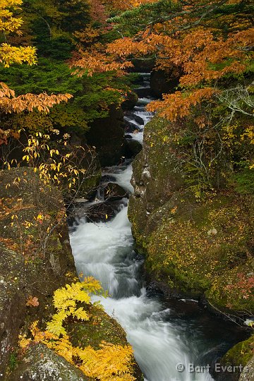 DSC_5227.jpg - Lovely Autumn colors