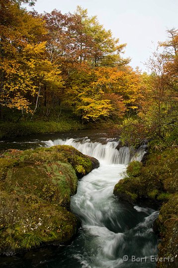 DSC_5231.jpg - Lovely Autumn colors