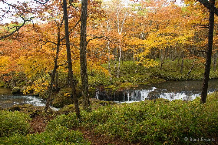 DSC_5233.jpg - Lovely Autumn colors