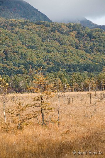 DSC_5241.jpg - Lovely Autumn colors