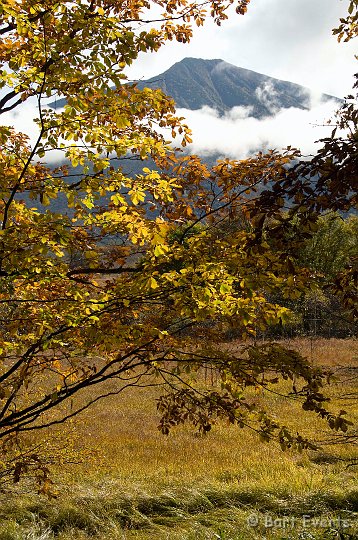 DSC_5259.jpg - Lovely Autumn colors
