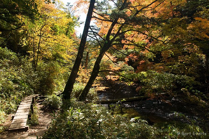 DSC_5283.jpg - Lovely Autumn colors