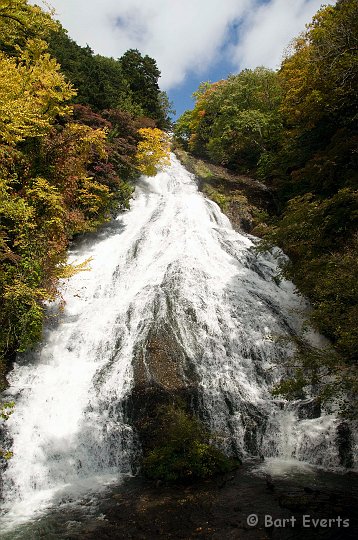 DSC_5288.jpg - Lovely Autumn colors