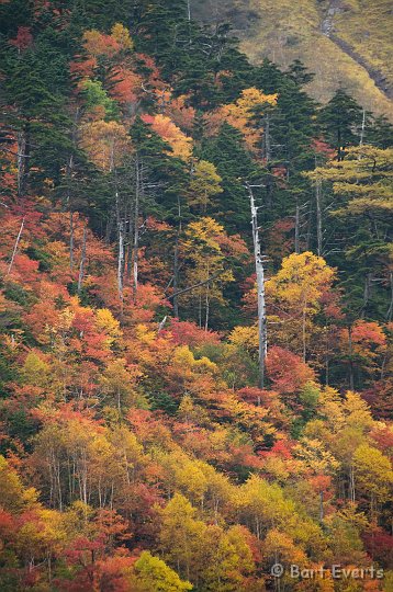 DSC_5318.jpg - Changing colors