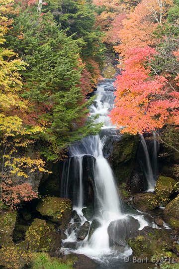 DSC_5333.jpg - Beautiful autumn leave colors