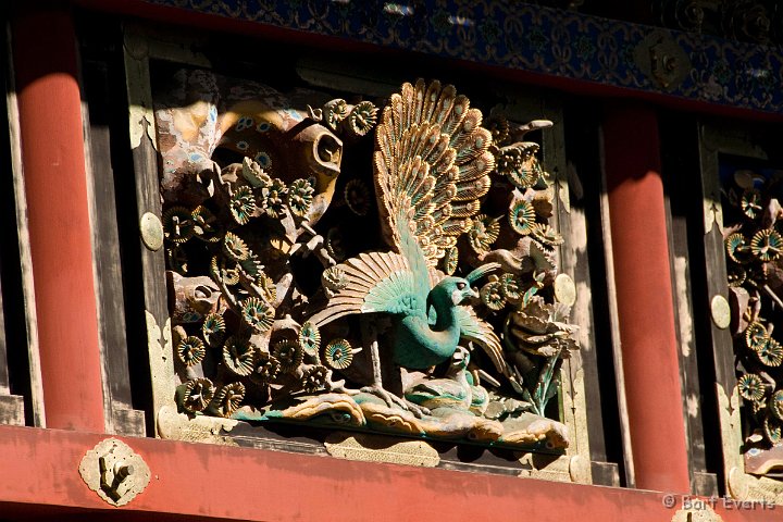 DSC_5402.jpg - Tosho-gu shrine detail