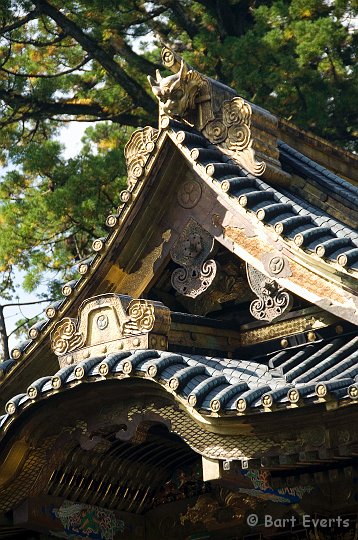 DSC_5412.jpg - Tosho-gu shrine