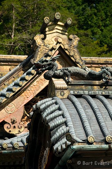 DSC_5414.jpg - Tosho-gu shrine