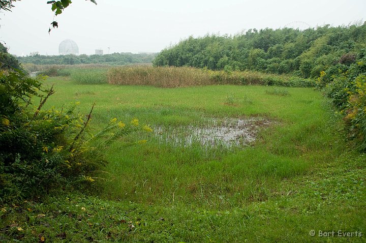 DSC_5554.jpg - Bird sanctuary