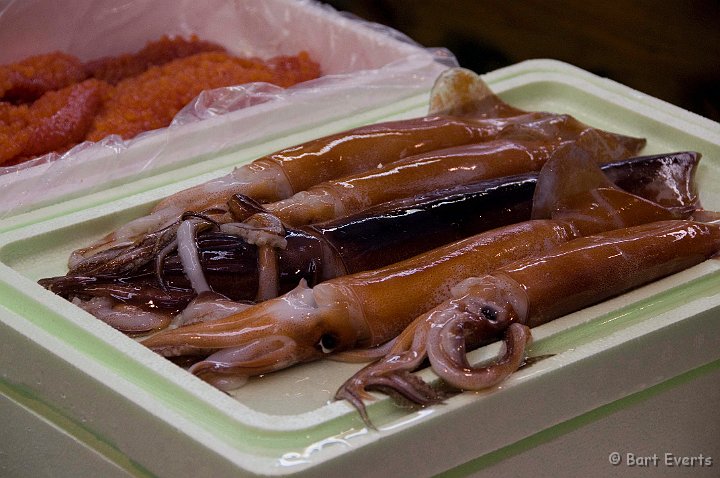 DSC_5476.jpg - Fresh Squid