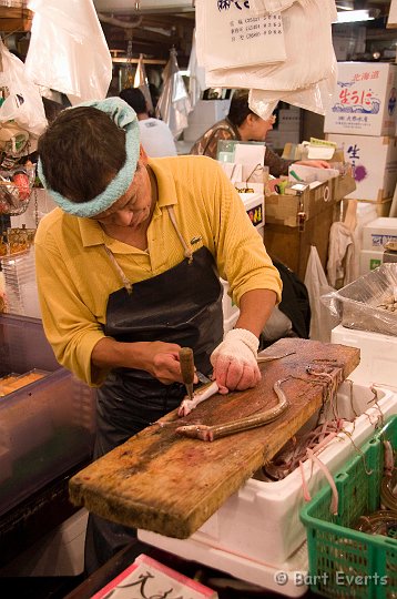 DSC_5483.jpg - preparing Eel
