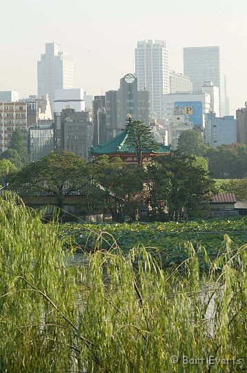 DSC_5643.jpg - Ueno Park