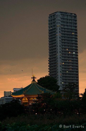 DSC_5655.jpg - Sunset