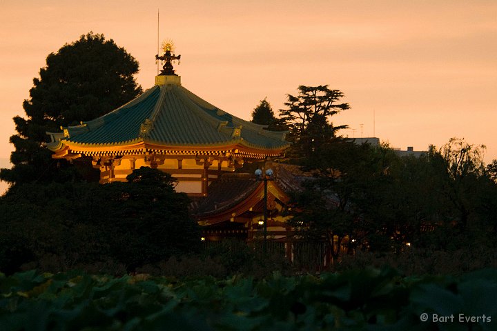 DSC_5659.jpg - Sunset