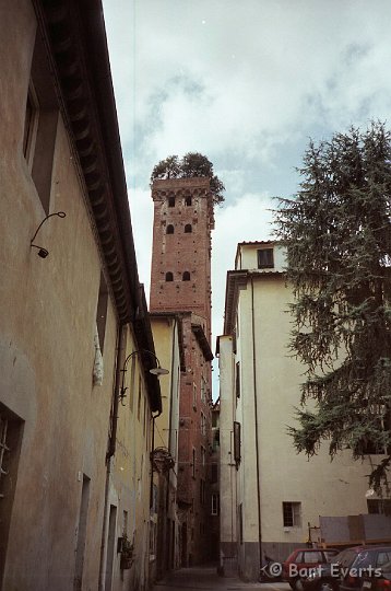 Scan10003.JPG - Case dei Guinigi (look at the tree growing on top!)