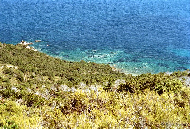 Scan10089.jpg - Parco Regionale della Maremma