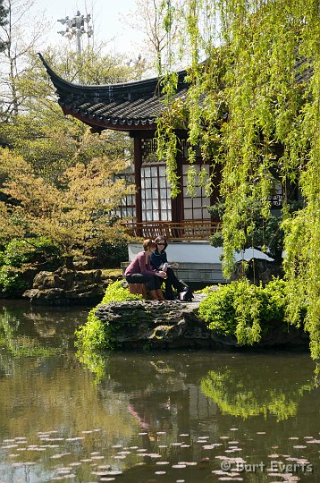 DSC_6994.jpg - The Chinese Garden in Chinatown