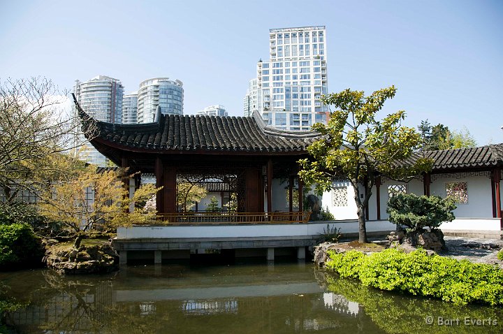 DSC_7003.jpg - The Chinese Garden in Chinatown