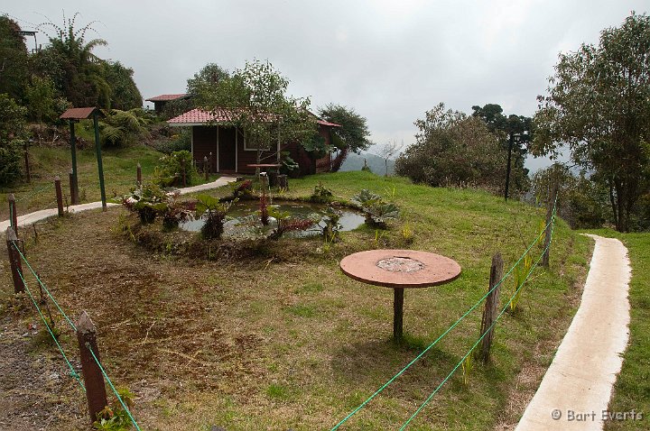 DSC_8819.jpg - The Garden of our Bungalow