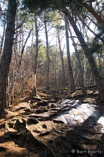 DSC_6829.jpg - On our way to the top of Baker Mountain