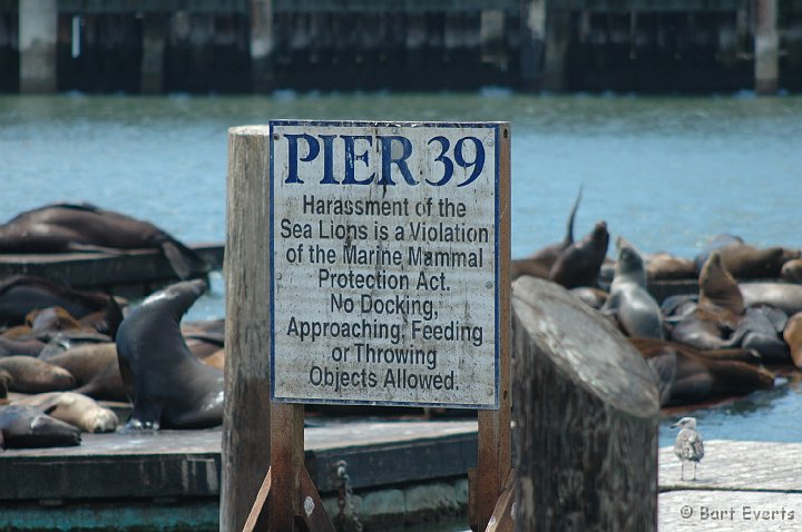 DSC_1656.JPG - They are Protected
