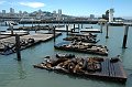 DSC_1650