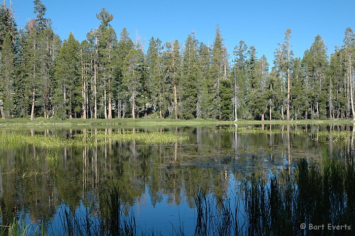 DSC_1535.JPG - Siesta Lake
