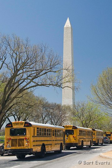 DSC_6759.jpg - Washington Memorial