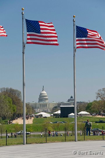 DSC_6761.jpg - View on The Capitol from Washington Memorial