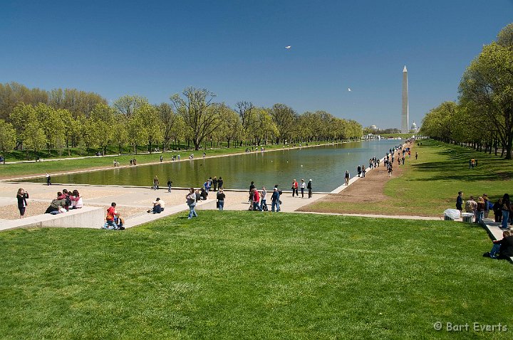 DSC_6765.jpg - Pond leading up to Lincoln Memorial