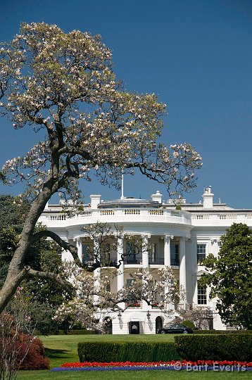 DSC_6772.jpg - The White House