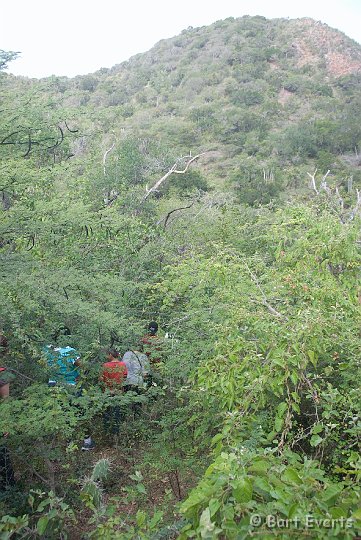 DSC_0967.jpg - Walking through the bush