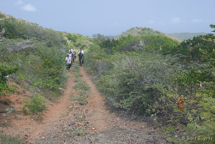 DSC_0989.jpg - Walking back on a well defined track