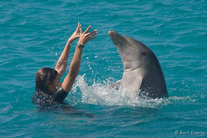 DSC_1219.jpg - Dolphinshow