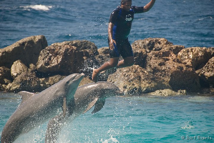 DSC_1220.jpg - Dolphinshow