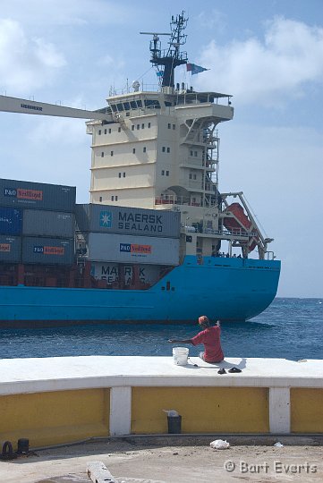 DSC_1085.jpg - A huge containership passing through