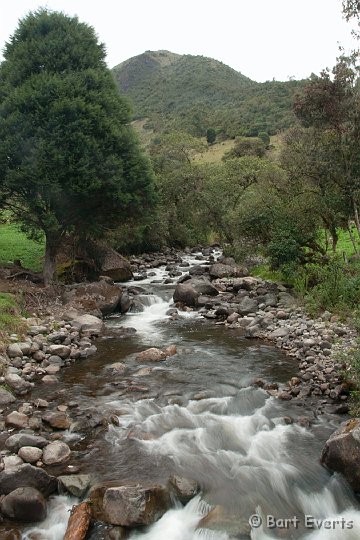 DSC_9429.JPG - river in Cajas National Park