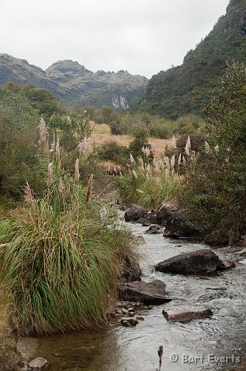 DSC_9450.JPG - Little stream