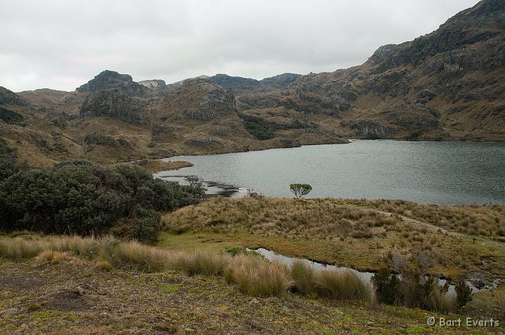 DSC_9485.JPG - Laguna Toreadora