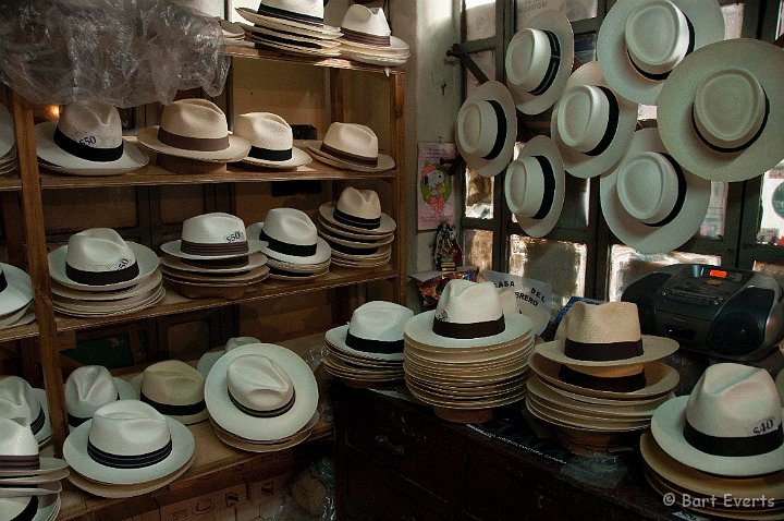 DSC_9553.JPG - Panamese hat shop: as opposed to what their name suggests, these hats are orginally from Ecuador and not Panama