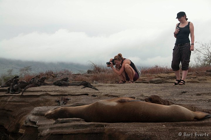 DSC_8716.JPG - getting close to the animals isn't very difficult